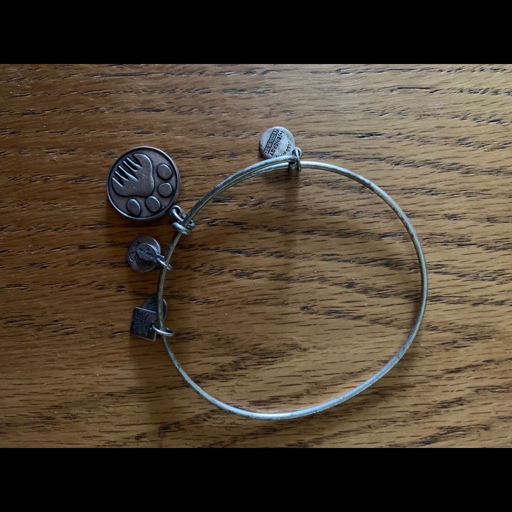 Rare Alex and Ani Paw Bracelet
